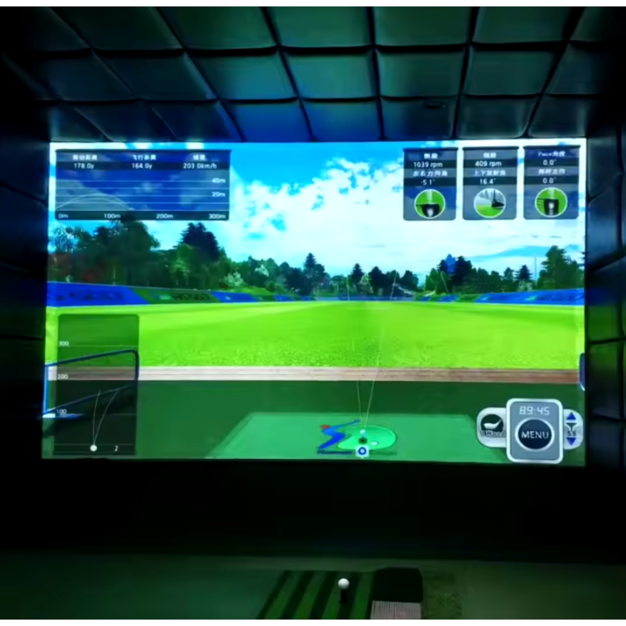 GreenFair Ace Virtual Range